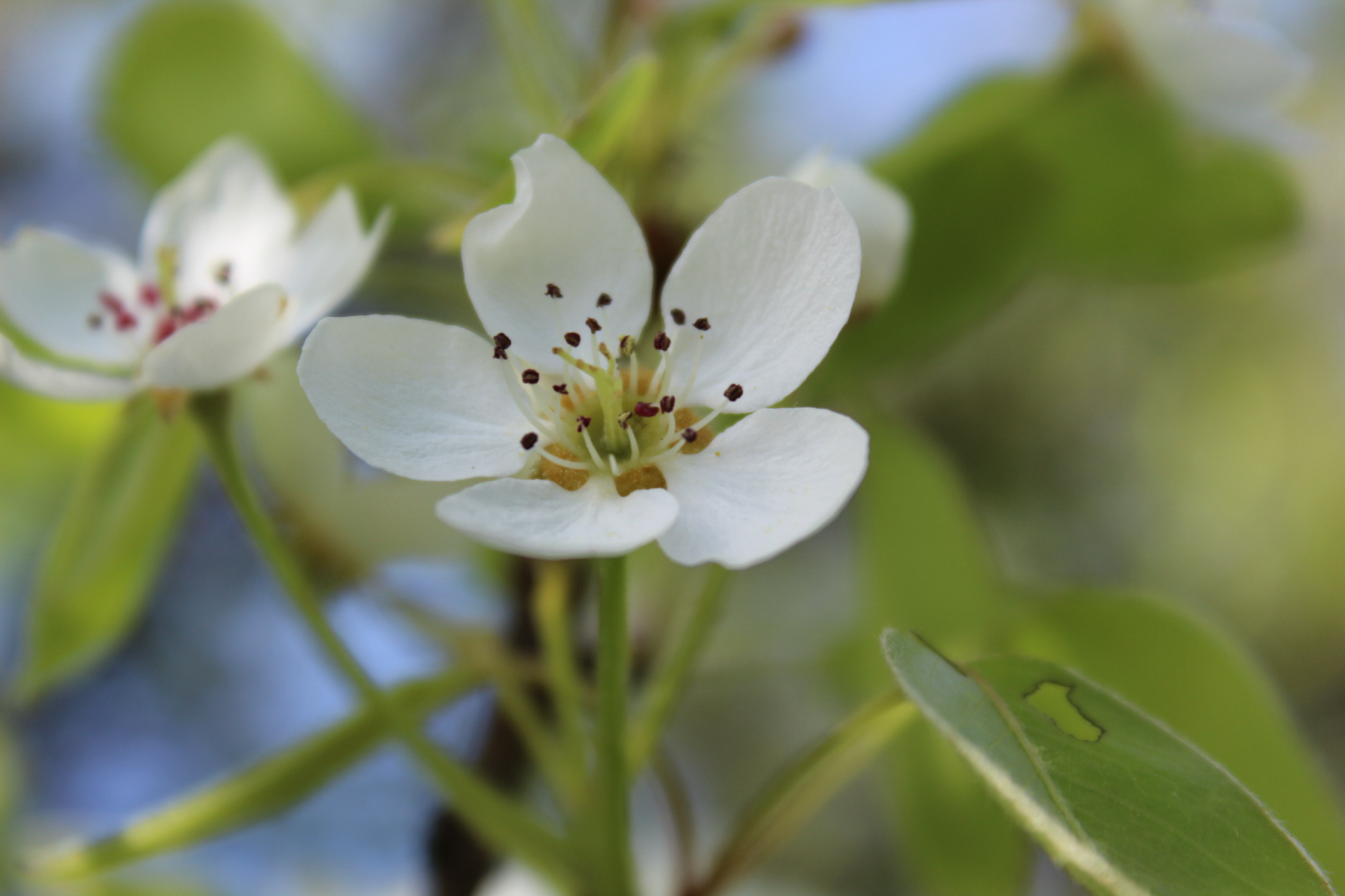 20190516163627_IMG_0932